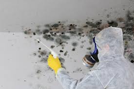 Best Mold Odor Removal Services  in Westbrook, ME